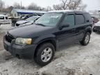 2005 Ford Escape XLT