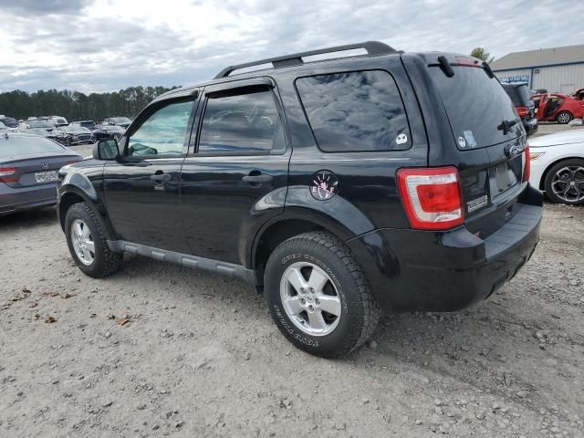 2010 Ford Escape XLT