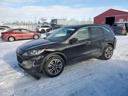 Ford Escape sel Vehiculos salvage en venta: 2020 Ford Escape SEL