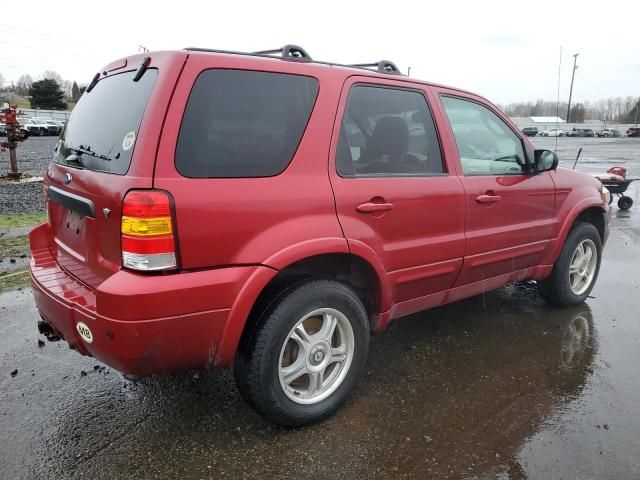 2005 Ford Escape Limited