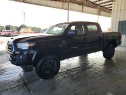 Salvage cars for sale at Homestead, FL auction: 2021 Toyota Tacoma Double Cab