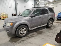 2008 Ford Escape XLT en venta en Ottawa, ON