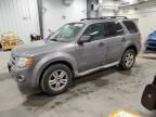 2008 Ford Escape XLT