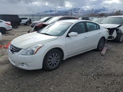 Salvage cars for sale at auction: 2012 Nissan Altima Base