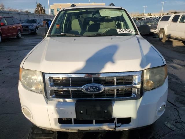 2011 Ford Escape XLT