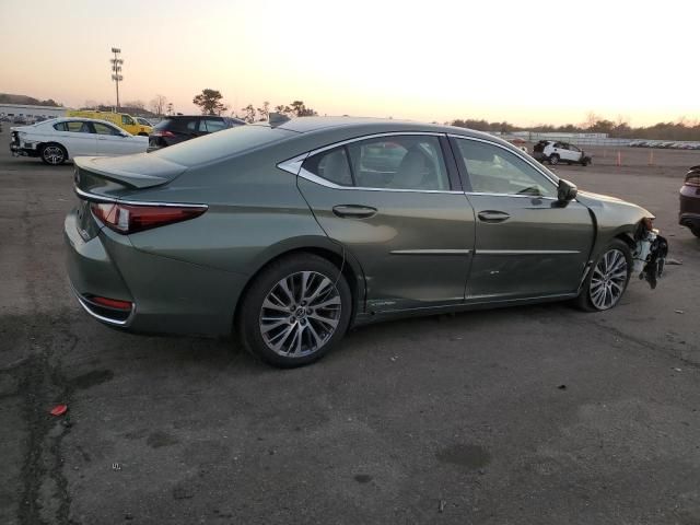 2019 Lexus ES 300H