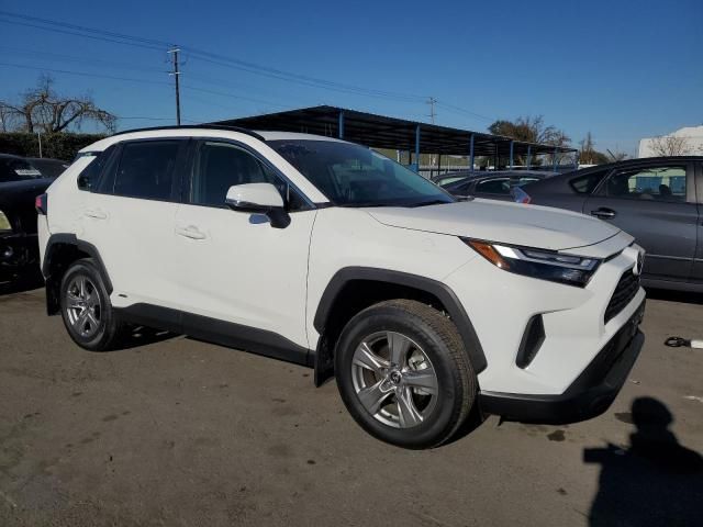 2024 Toyota Rav4 XLE