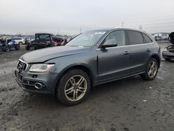 Salvage cars for sale from Copart Eugene, OR: 2015 Audi Q5 Premium Plus