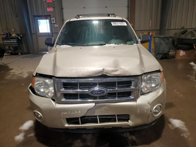 2011 Ford Escape XLT