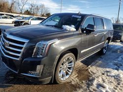 2019 Cadillac Escalade ESV Premium Luxury en venta en Bridgeton, MO