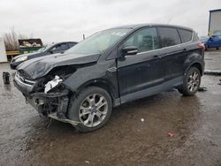 Salvage cars for sale at Albuquerque, NM auction: 2013 Ford Escape SEL