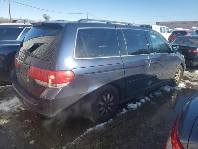 2008 Honda Odyssey EXL