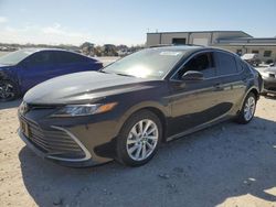 Salvage cars for sale at San Antonio, TX auction: 2023 Toyota Camry LE