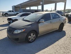 Salvage cars for sale from Copart West Palm Beach, FL: 2009 Toyota Corolla Base