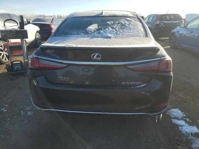 2021 Lexus ES 300H