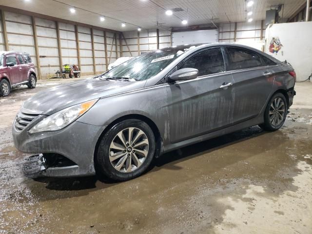 2014 Hyundai Sonata SE