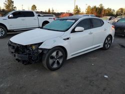 Salvage cars for sale at Gaston, SC auction: 2013 KIA Optima Hybrid