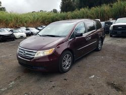 Honda Odyssey exl Vehiculos salvage en venta: 2013 Honda Odyssey EXL