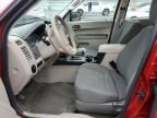 2011 Ford Escape XLS