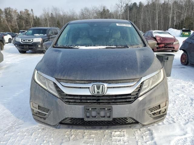 2019 Honda Odyssey EXL