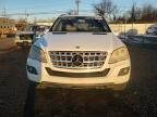 2009 Mercedes-Benz ML 350