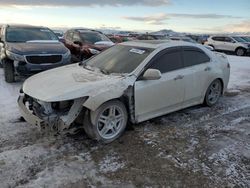 Salvage cars for sale at Helena, MT auction: 2013 Acura TSX SE