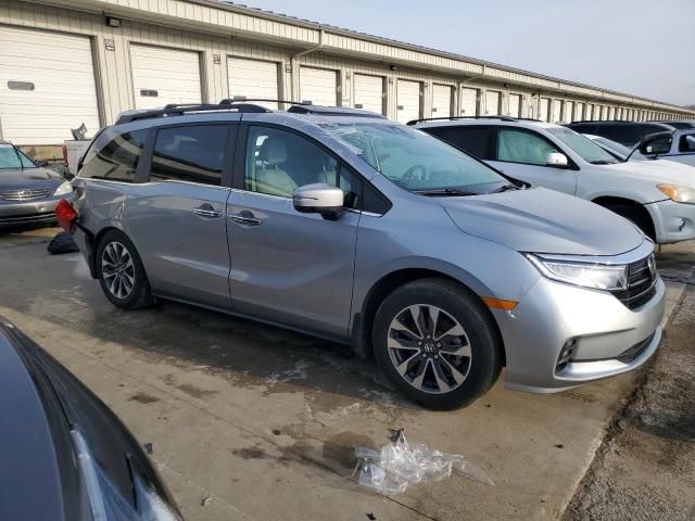 2024 Honda Odyssey EXL