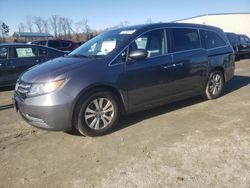 Honda Odyssey exl salvage cars for sale: 2016 Honda Odyssey EXL