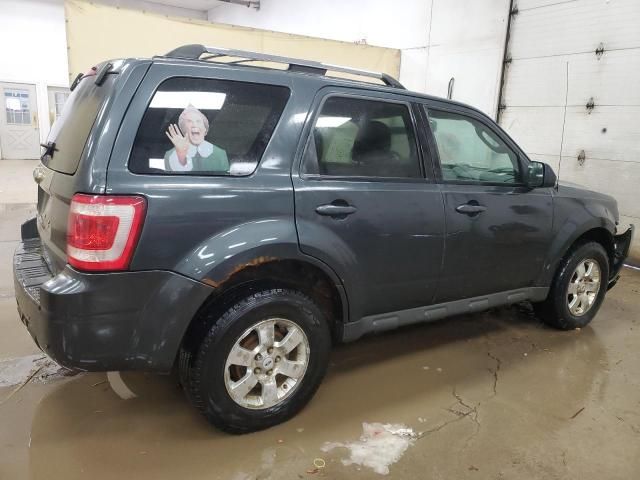 2009 Ford Escape Limited