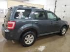 2009 Ford Escape Limited