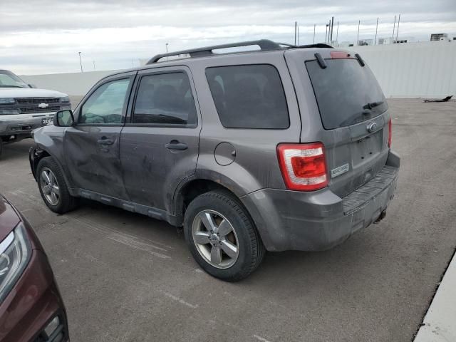 2012 Ford Escape XLT