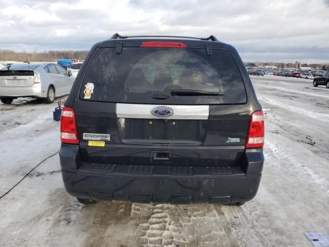 2011 Ford Escape Limited