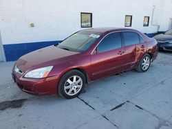 Honda Accord ex Vehiculos salvage en venta: 2005 Honda Accord EX