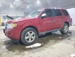 2010 Ford Escape XLT en venta en Candia, NH