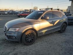 Salvage cars for sale at Eugene, OR auction: 2013 Audi Q5 Prestige