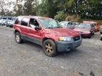 2005 Ford Escape XLT