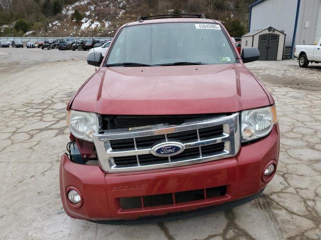 2011 Ford Escape XLT