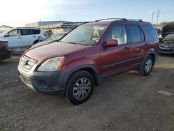 Salvage cars for sale at San Diego, CA auction: 2005 Honda CR-V EX