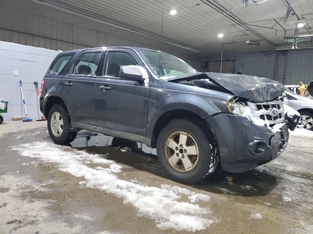 2009 Ford Escape XLS