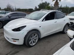 Salvage cars for sale at San Martin, CA auction: 2020 Tesla Model Y