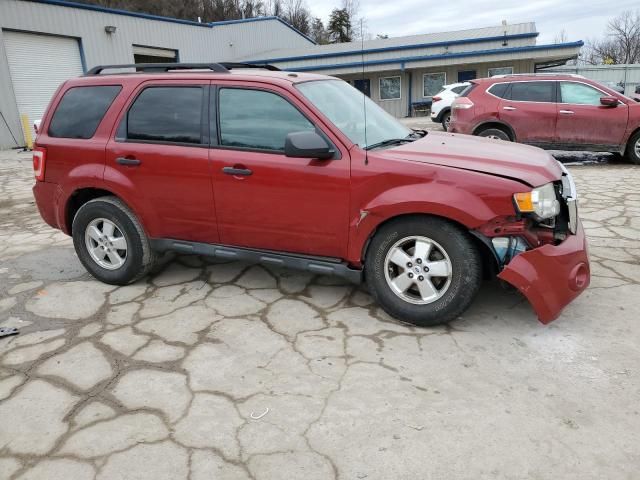 2011 Ford Escape XLT