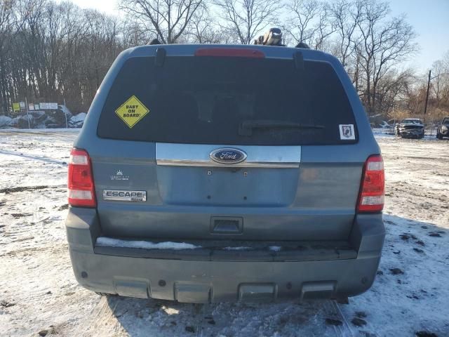 2010 Ford Escape Limited