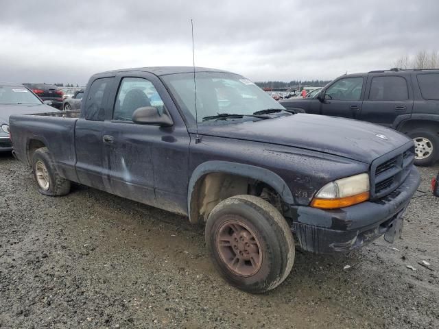 1999 Dodge Dakota