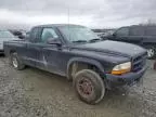 1999 Dodge Dakota