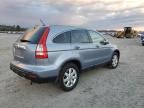 2007 Honda CR-V EXL