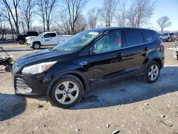 Salvage cars for sale at auction: 2016 Ford Escape SE