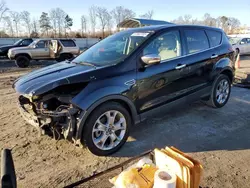 Salvage cars for sale at Spartanburg, SC auction: 2013 Ford Escape SEL