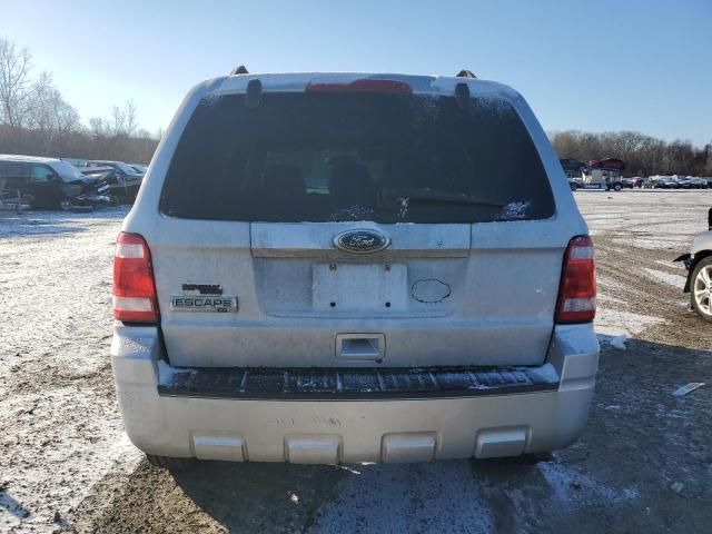 2011 Ford Escape XLT