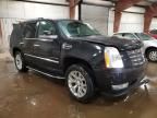 2010 Cadillac Escalade Luxury