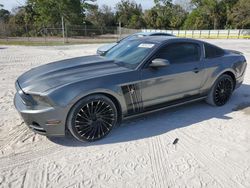 Salvage cars for sale at Fort Pierce, FL auction: 2014 Ford Mustang